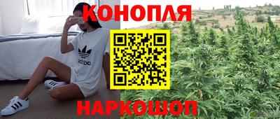 СК Аргун