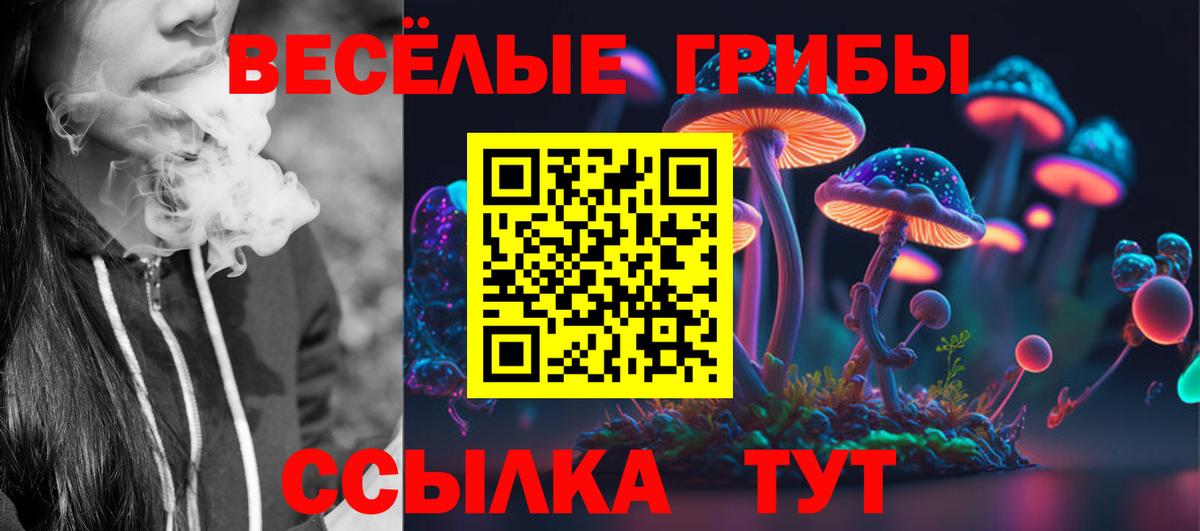 Псилоцибиновые грибы мухоморы Великий Устюг