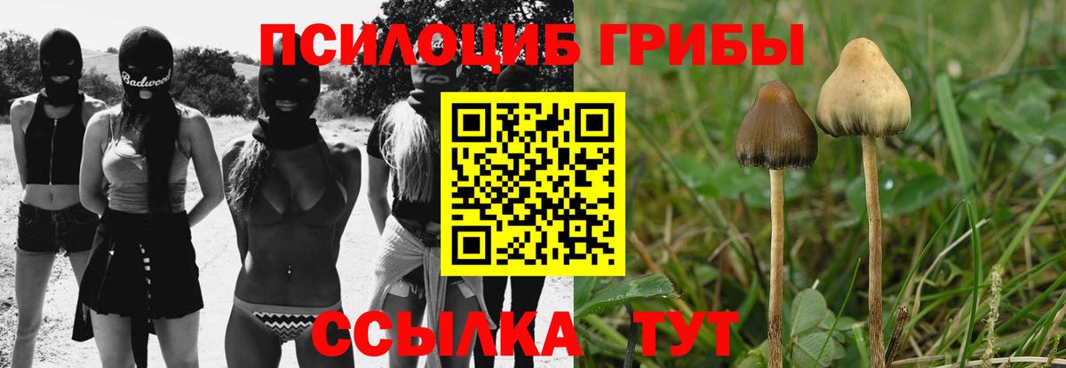 Псилоцибиновые грибы Psilocybe  Вход с VPN  Великий Устюг  Псилоцибиновые грибы Magic Shrooms 